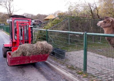 Uni-Truck Schaufel 2