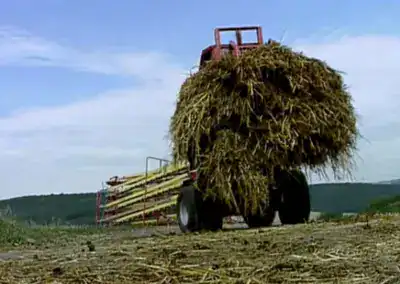 Dung- und Heugreifer